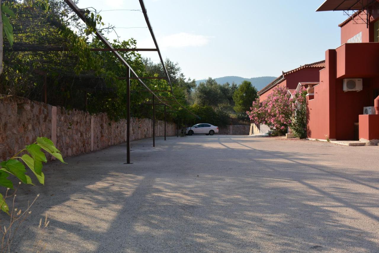 Aristotelis Epidaurus المظهر الخارجي الصورة